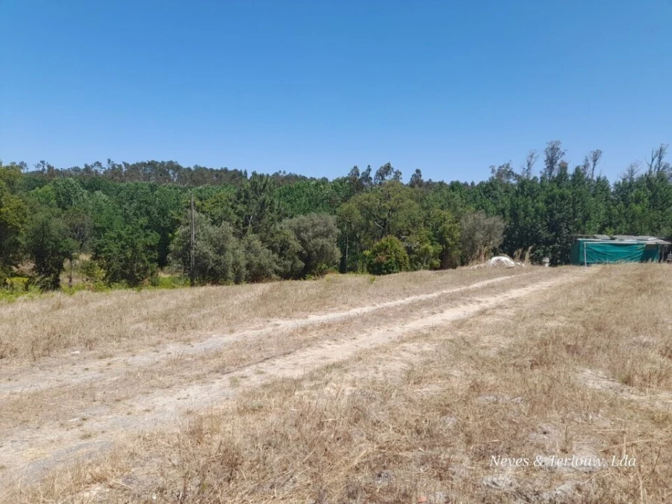 Terreno para Venda em Monte Redondo e Carreira Foto 5