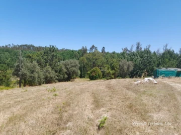 Terreno para Venda em Monte Redondo e Carreira