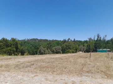 Terreno para Venda em Monte Redondo e Carreira