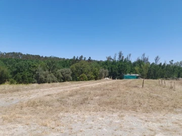 Terreno para Venda em Monte Redondo e Carreira