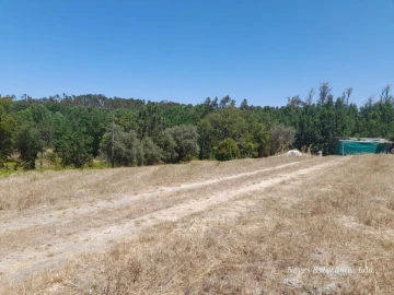Terreno para Venda em Monte Redondo e Carreira