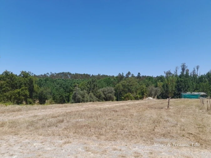 Terreno para Venda em Monte Redondo e Carreira Foto 4