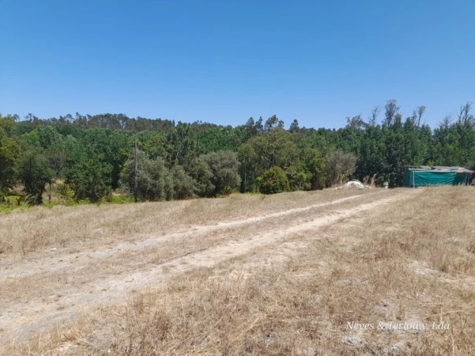 Terreno para Venda em Monte Redondo e Carreira Foto 5