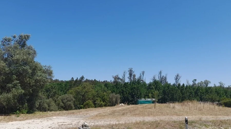 Terreno para Venda em Monte Redondo e Carreira