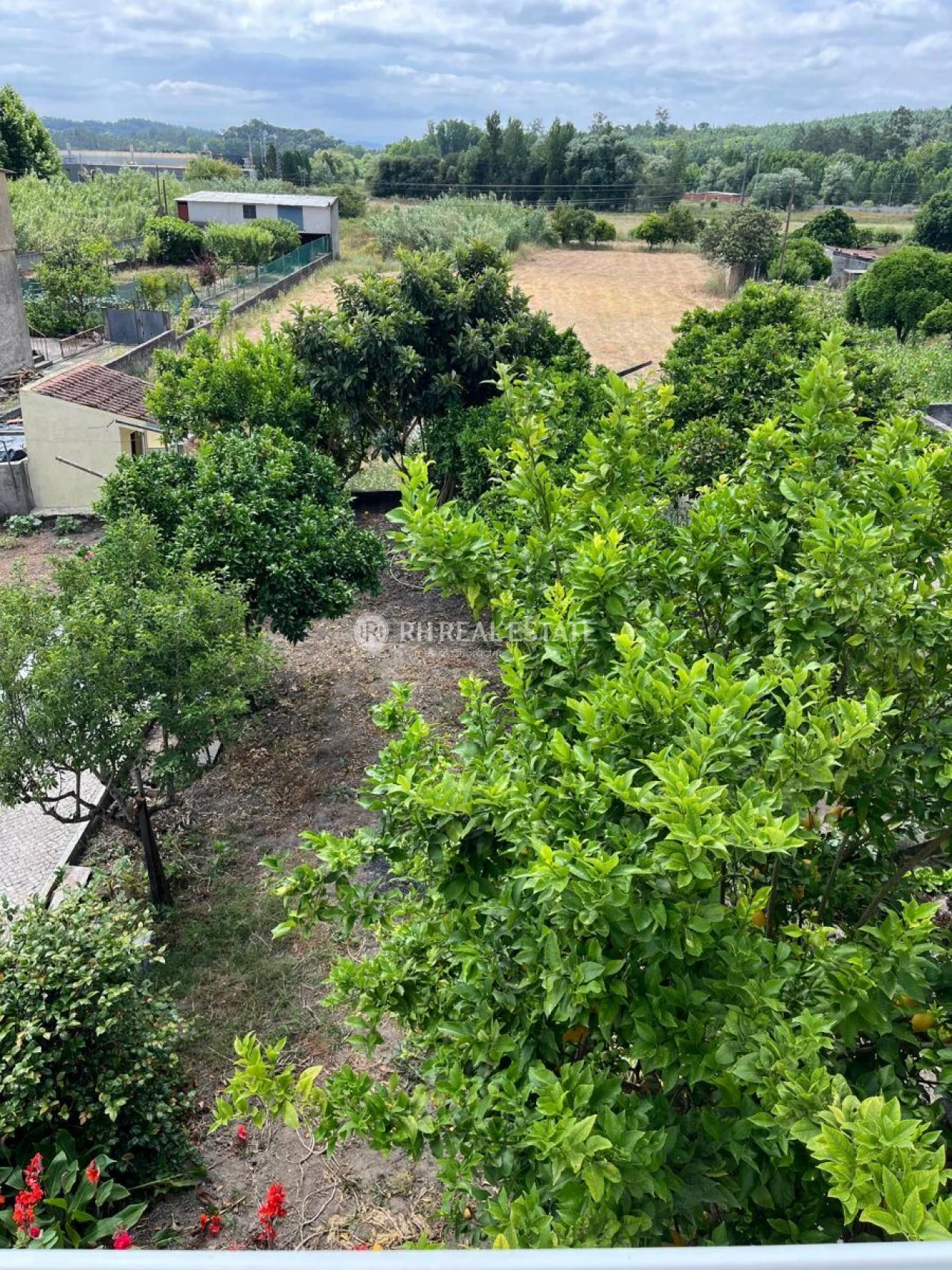 Moradia T3 para Arrendamento em Ançã Foto 9