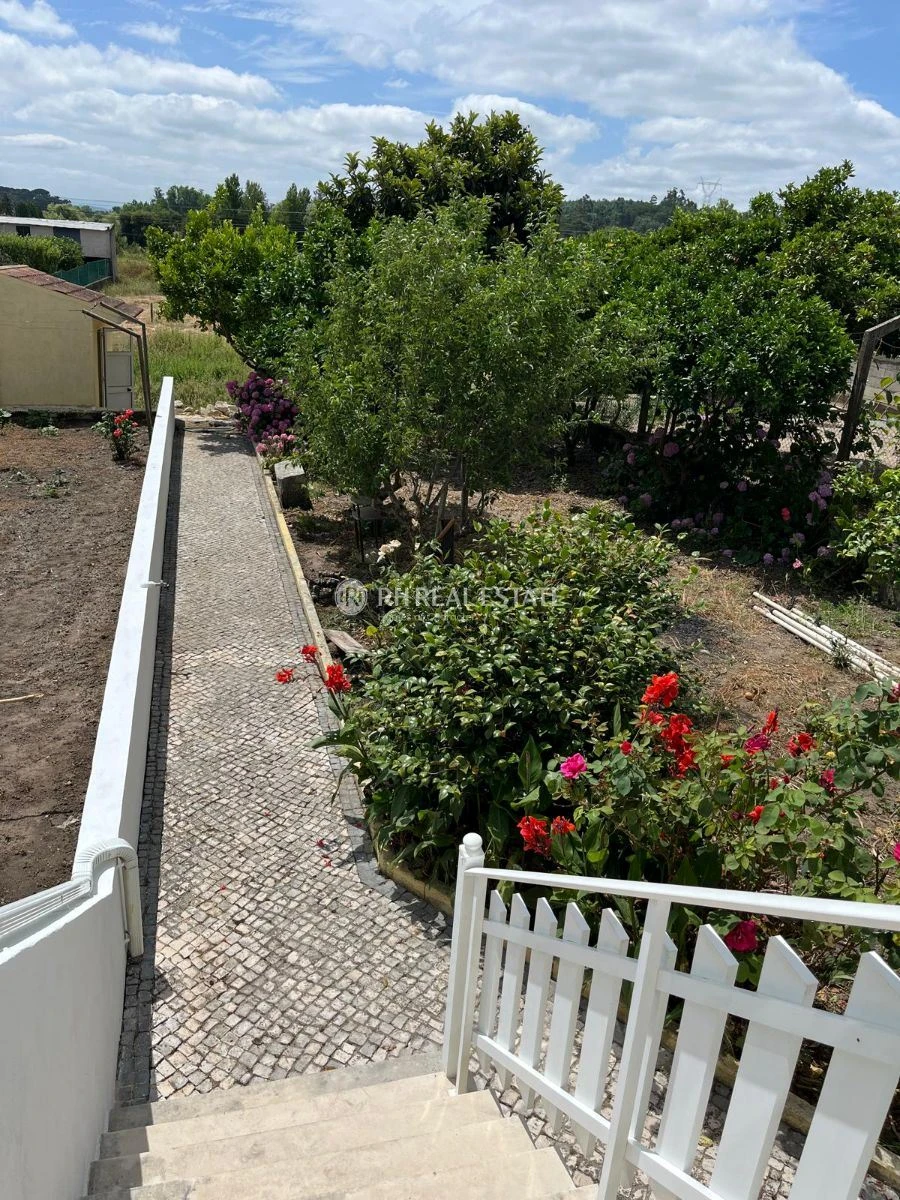 Moradia T3 para Arrendamento em Ançã Foto 11