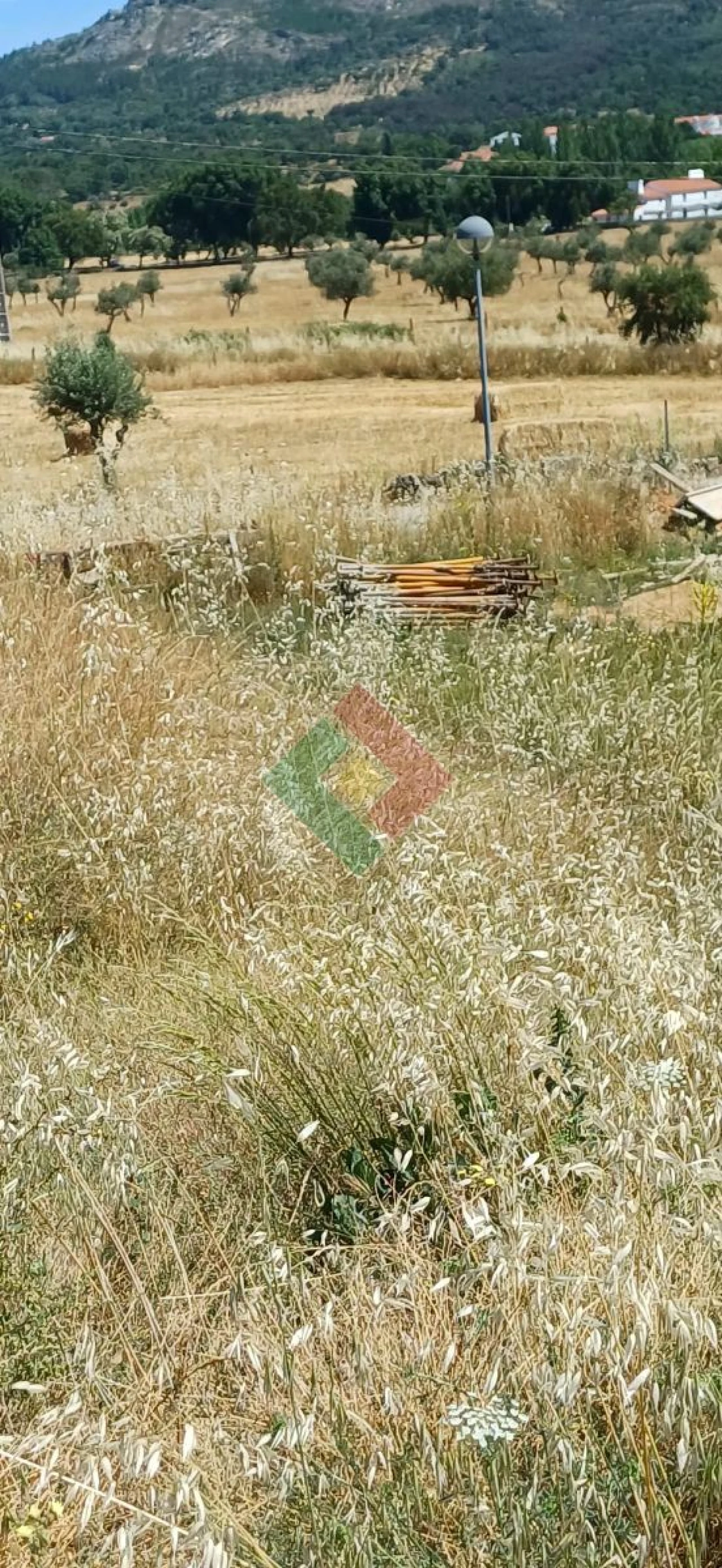Terreno para Venda em São Salvador da Aramenha Foto 5
