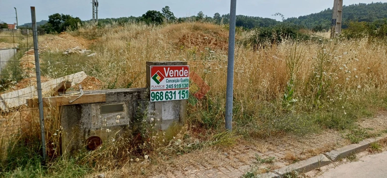 Terreno para Venda em São Salvador da Aramenha Foto 1
