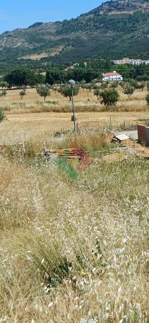 Terreno para Venda em São Salvador da Aramenha