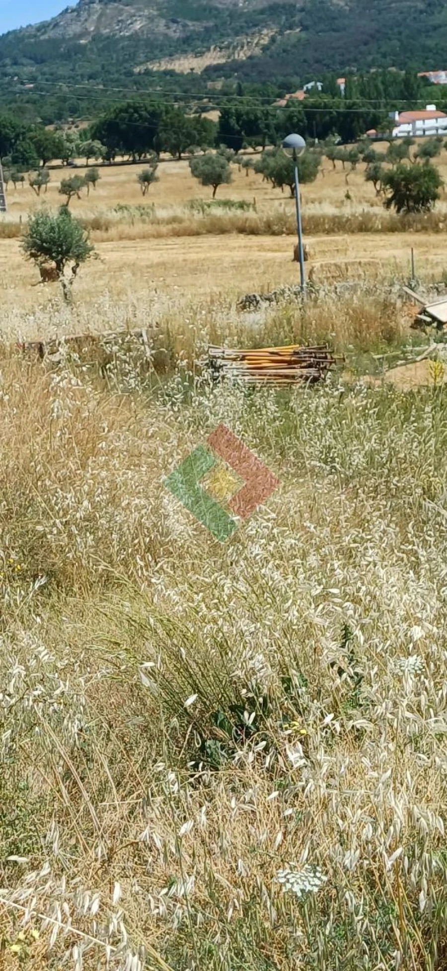 Terreno para Venda em São Salvador da Aramenha Foto 5