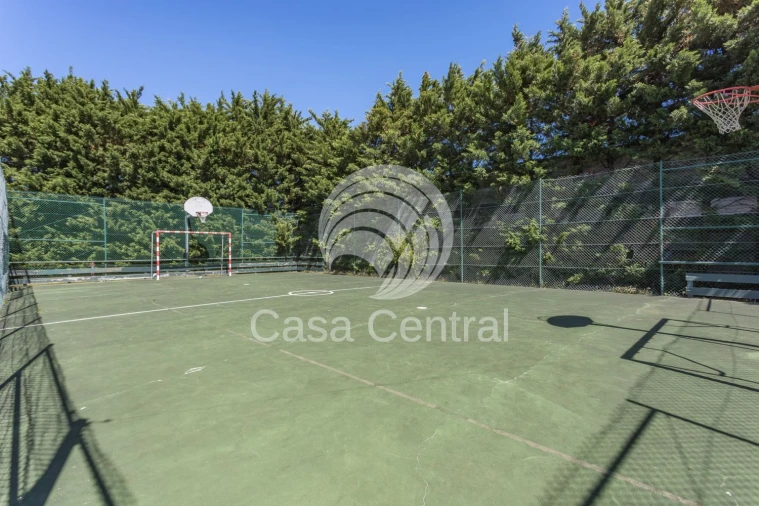 Moradia T3 para Venda em Santa Maria e São Miguel, São Martinho, São Pedro Penaferrim Foto 33