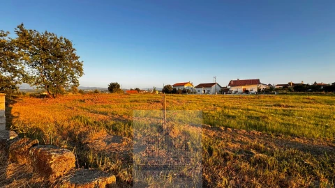 Terreno para Venda em Ervedal e Vila Franca da Beira