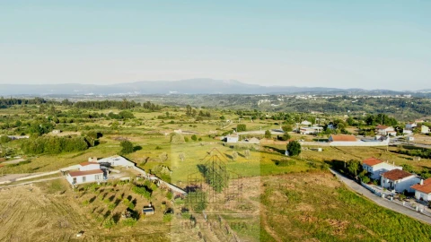Terreno para Venda em Ervedal e Vila Franca da Beira