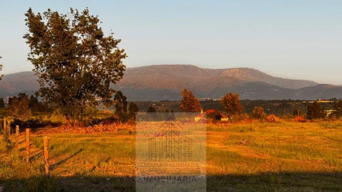 Terreno para Venda em Ervedal e Vila Franca da Beira