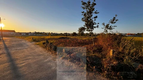 Terreno para Venda em Ervedal e Vila Franca da Beira