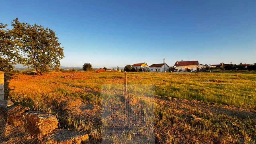 Terreno para Venda em Ervedal e Vila Franca da Beira Foto 10