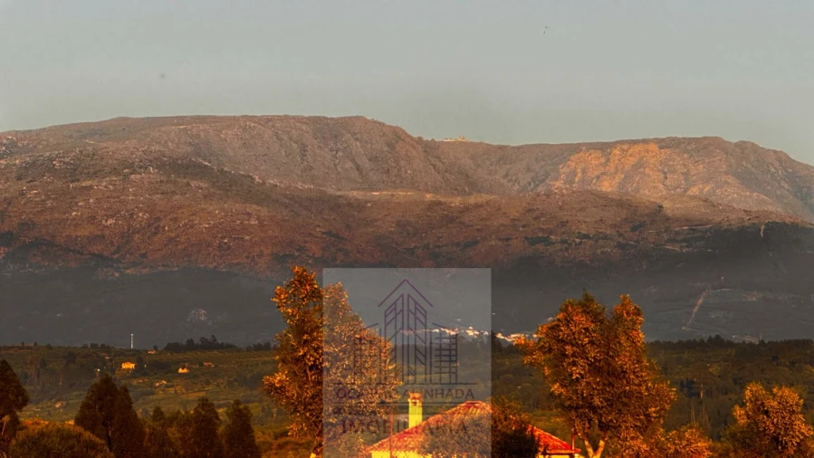 Terreno para Venda em Ervedal e Vila Franca da Beira Foto 12