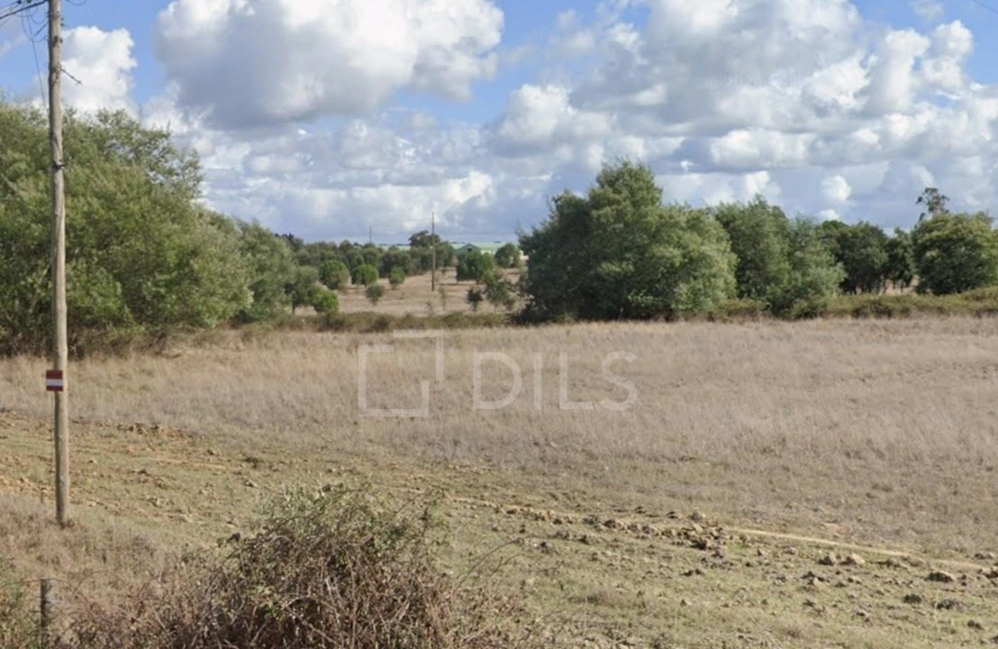 Terreno para Venda em Canha Foto 12