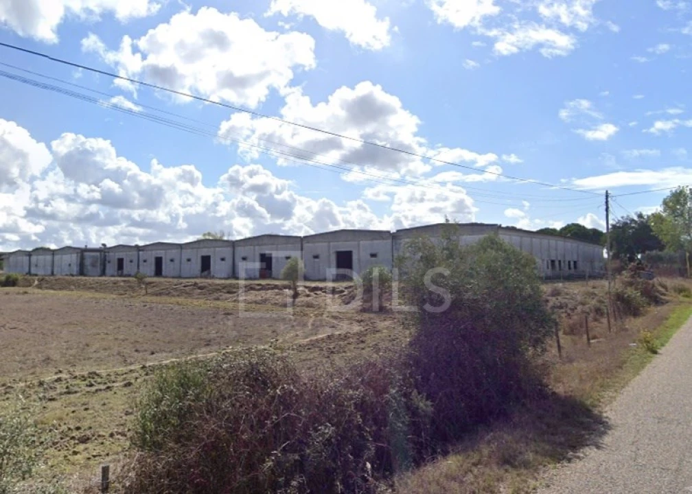 Terreno para Venda em Canha Foto 8