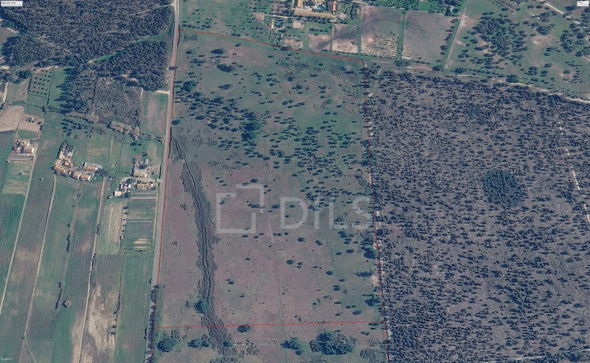 Terreno para Venda em Canha Foto 2