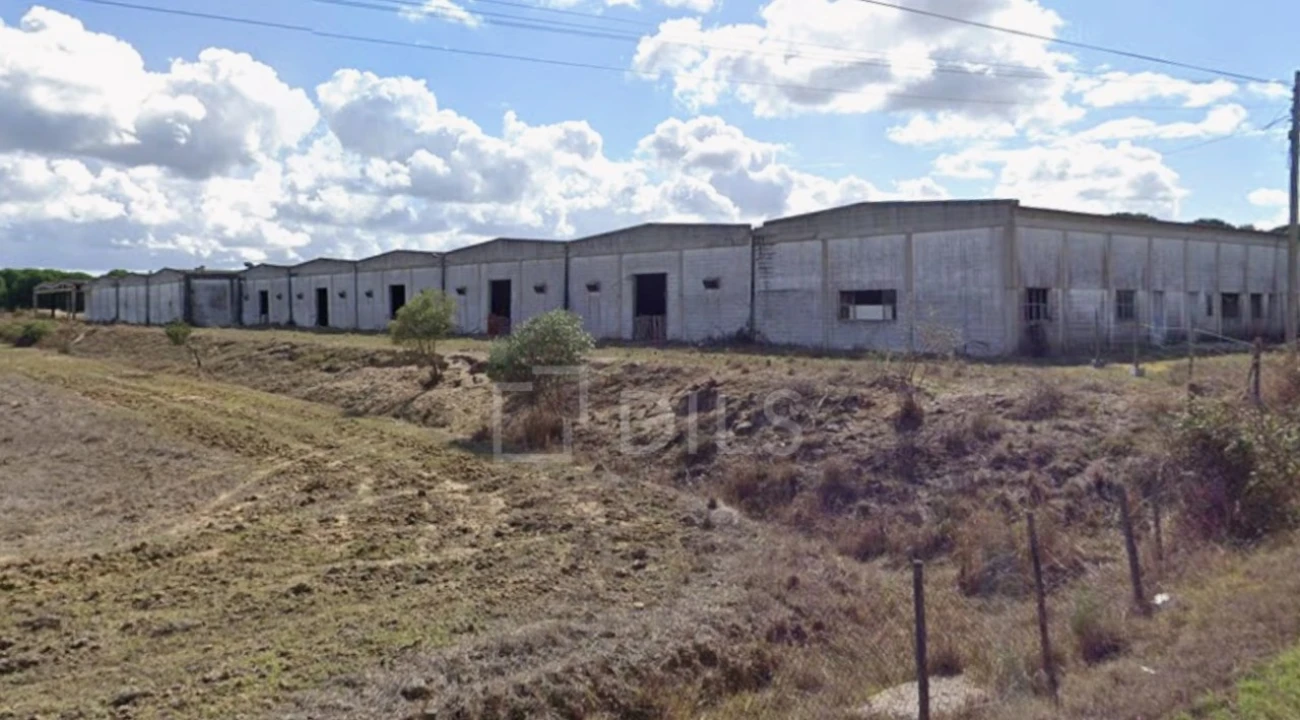 Terreno para Venda em Canha Foto 11