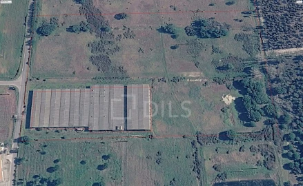 Terreno para Venda em Canha
