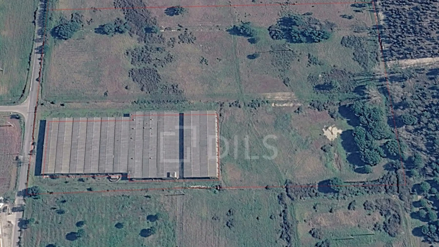 Terreno Comércio / Armazém para Venda em Canha