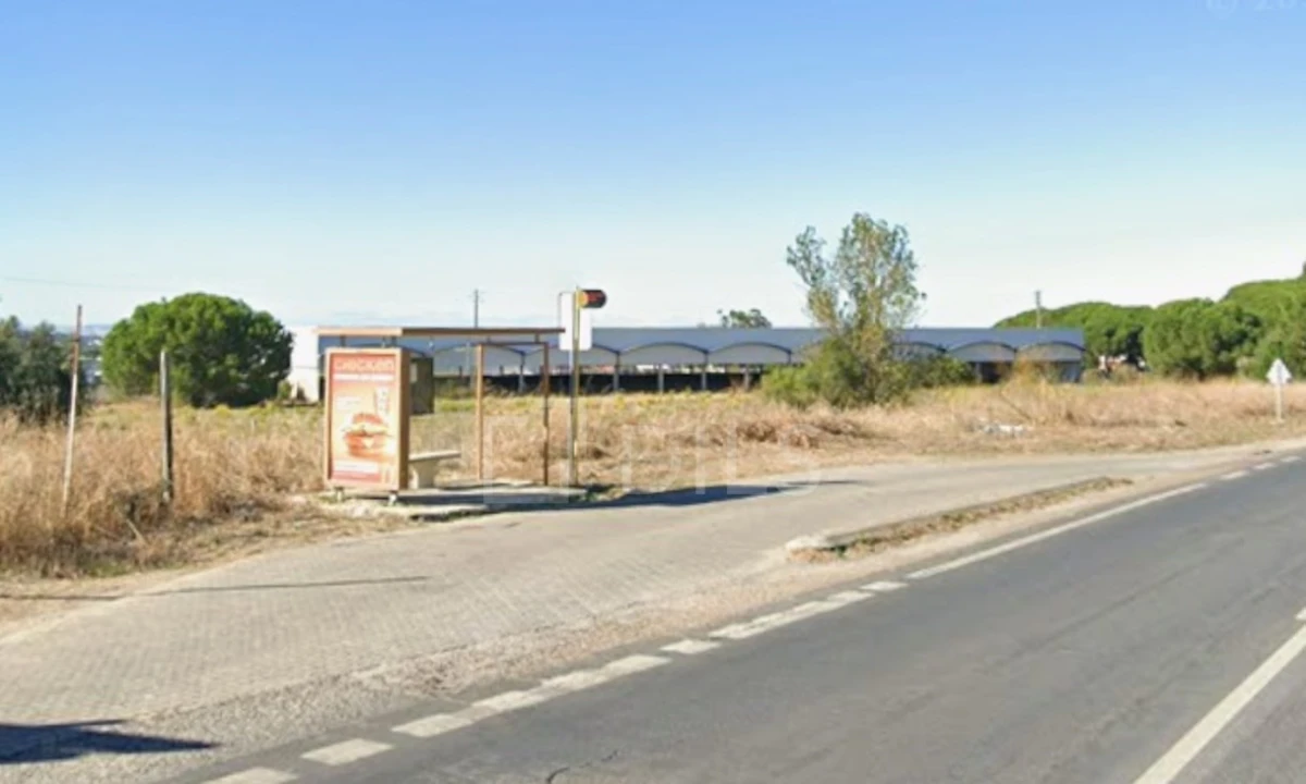 Terreno para Venda em Azeitão (São Lourenço e São Simão) Foto 14