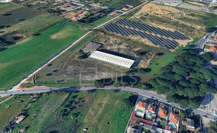 Terreno para Venda em Azeitão (São Lourenço e São Simão)