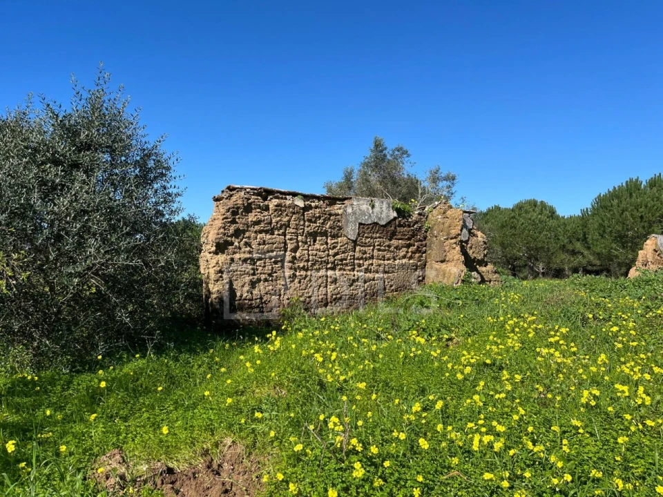 Terreno para Venda em Grândola e Santa Margarida da Serra Foto 4