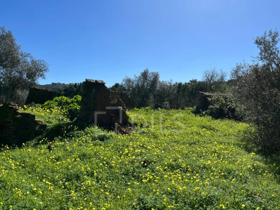 Terreno para Venda em Grândola e Santa Margarida da Serra Foto 5