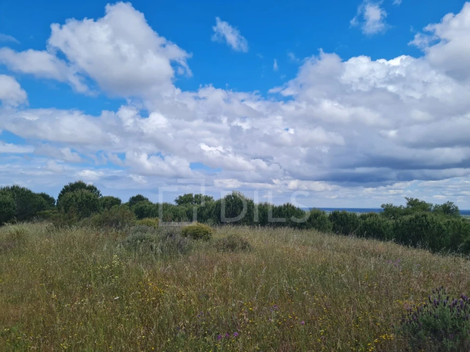 Terreno para Venda em Grândola e Santa Margarida da Serra Foto 9