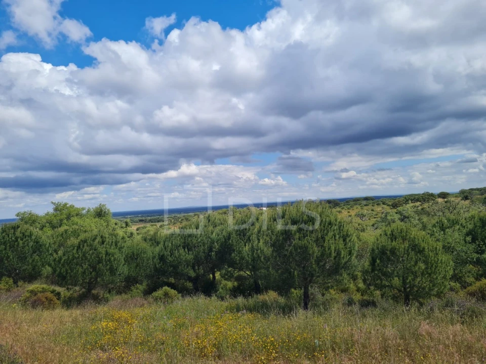 Terreno para Venda em Grândola e Santa Margarida da Serra Foto 12