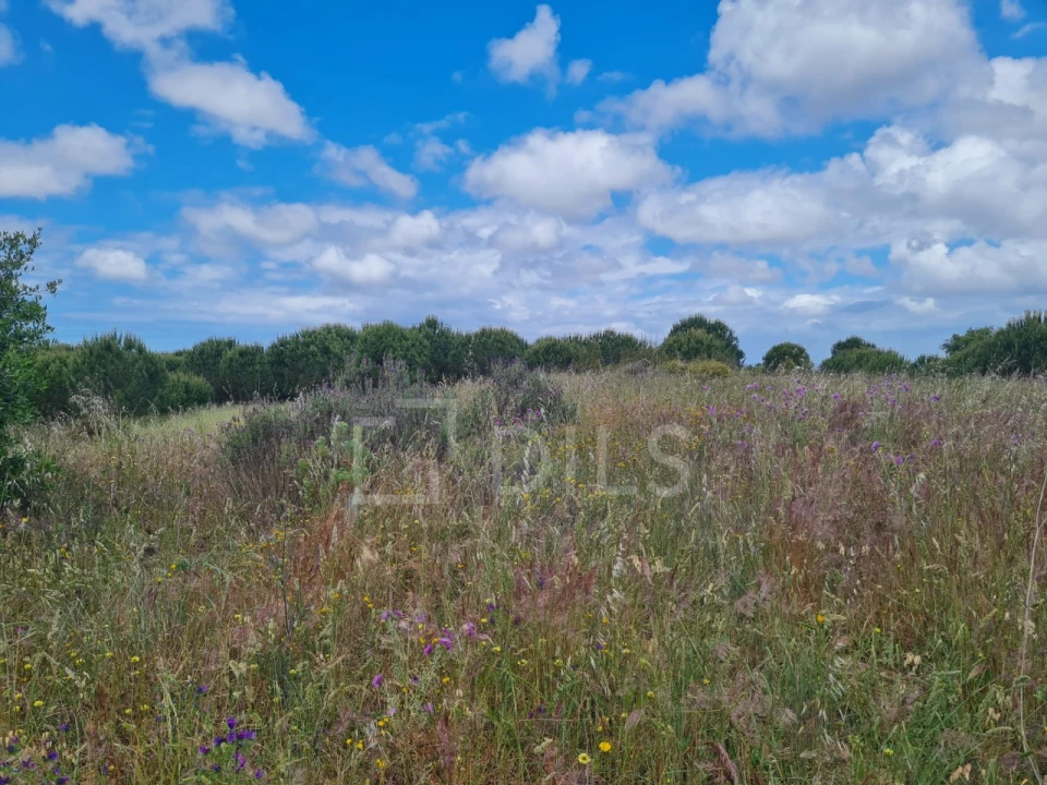 Terreno para Venda em Grândola e Santa Margarida da Serra Foto 13
