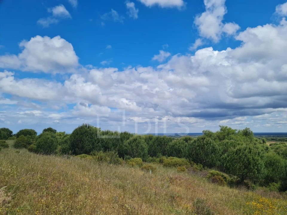 Terreno para Venda em Grândola e Santa Margarida da Serra Foto 14