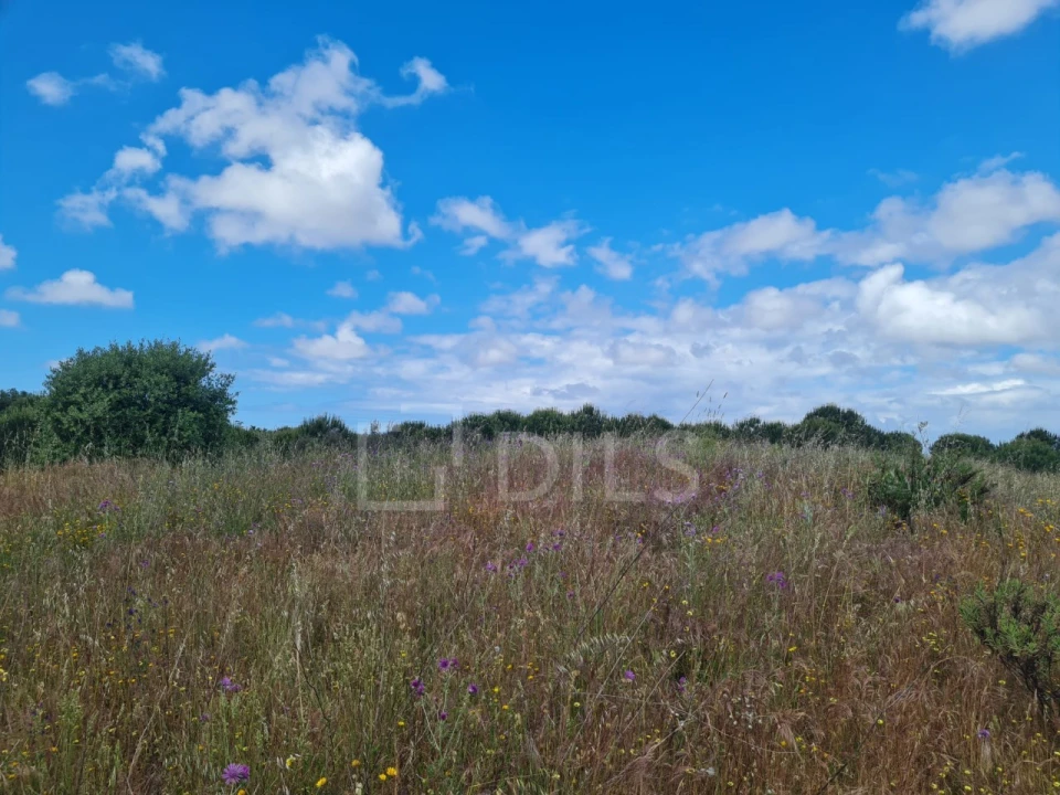 Terreno para Venda em Grândola e Santa Margarida da Serra Foto 17