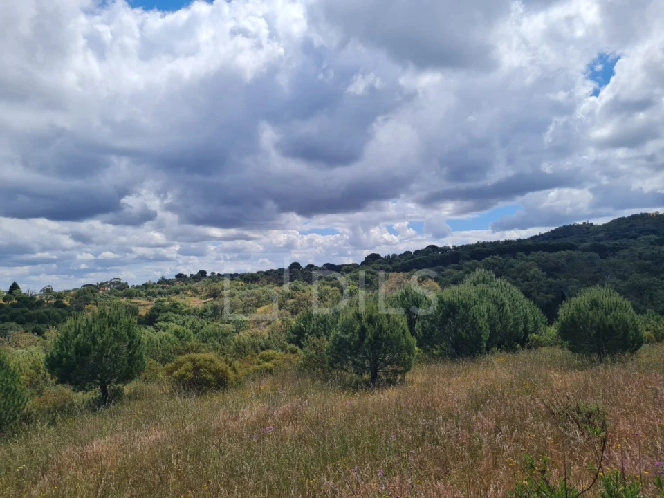 Terreno para Venda em Grândola e Santa Margarida da Serra Foto 19