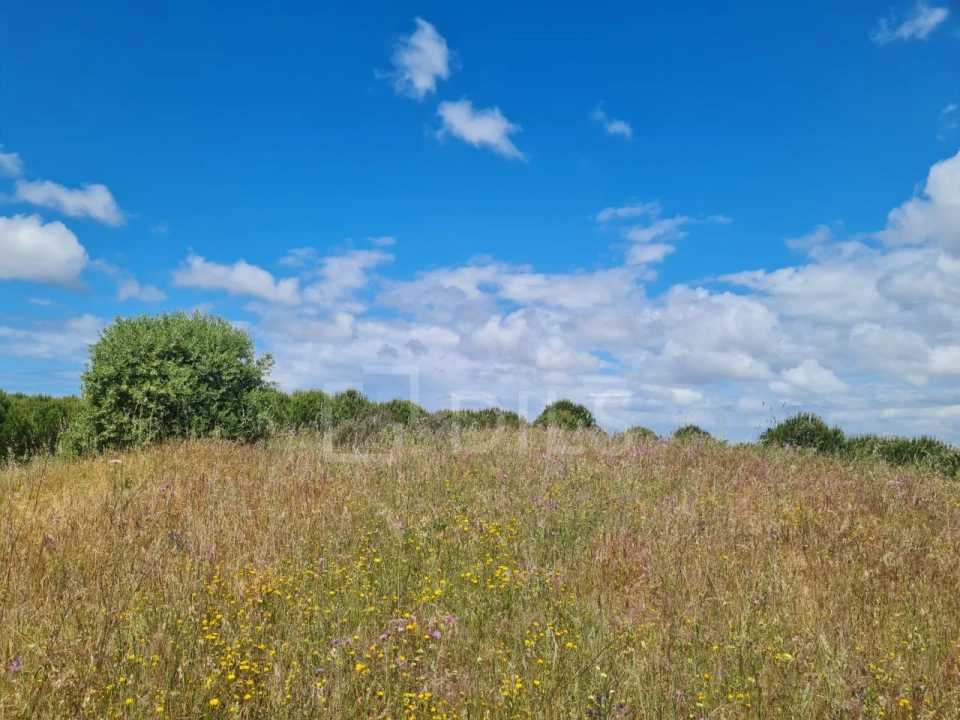 Terreno para Venda em Grândola e Santa Margarida da Serra Foto 20