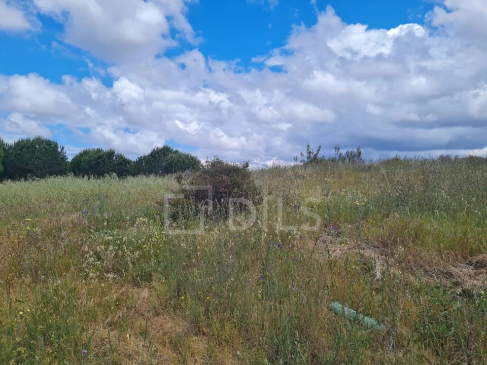 Terreno para Venda em Grândola e Santa Margarida da Serra Foto 24