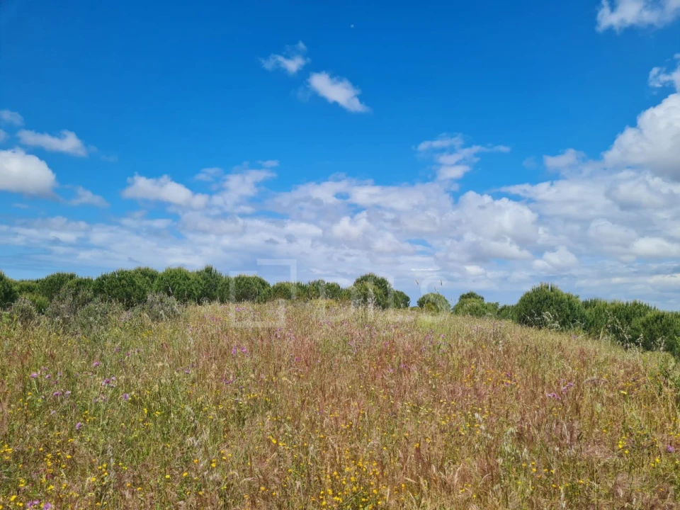 Terreno para Venda em Grândola e Santa Margarida da Serra Foto 25