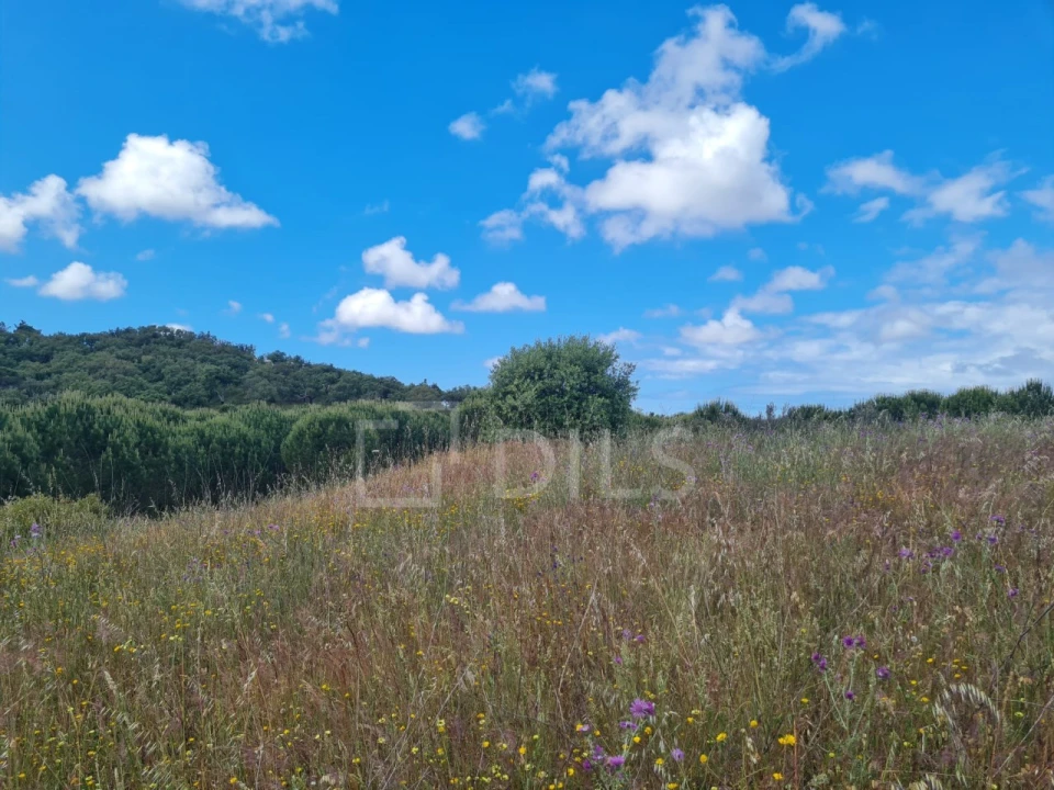 Terreno para Venda em Grândola e Santa Margarida da Serra Foto 28