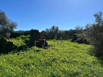 Terreno para Venda em Grândola e Santa Margarida da Serra
