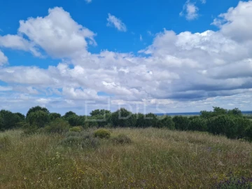 Terreno para Venda em Grândola e Santa Margarida da Serra