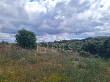 Terreno para Venda em Grândola e Santa Margarida da Serra