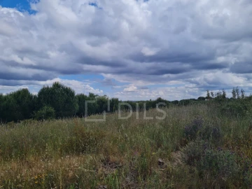 Terreno para Venda em Grândola e Santa Margarida da Serra