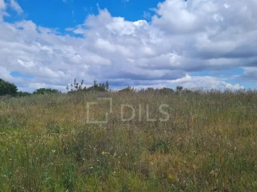 Terreno para Venda em Grândola e Santa Margarida da Serra