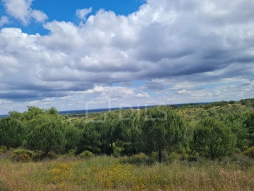 Terreno para Venda em Grândola e Santa Margarida da Serra