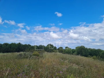 Terreno para Venda em Grândola e Santa Margarida da Serra