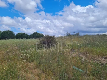 Terreno para Venda em Grândola e Santa Margarida da Serra