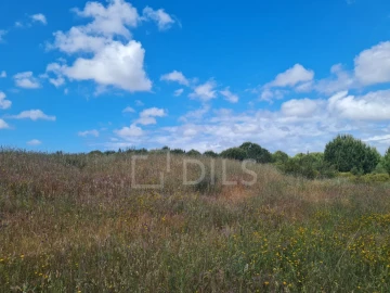 Terreno para Venda em Grândola e Santa Margarida da Serra